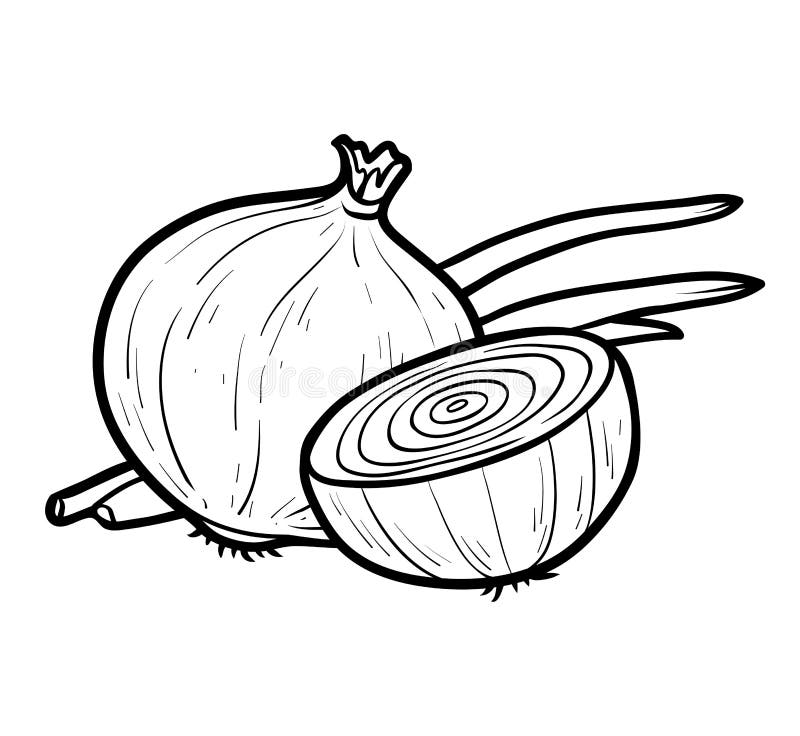 Livro para colorir, cebola branca ilustração royalty free Livro para colorir, cebola branca ilustração royalty free