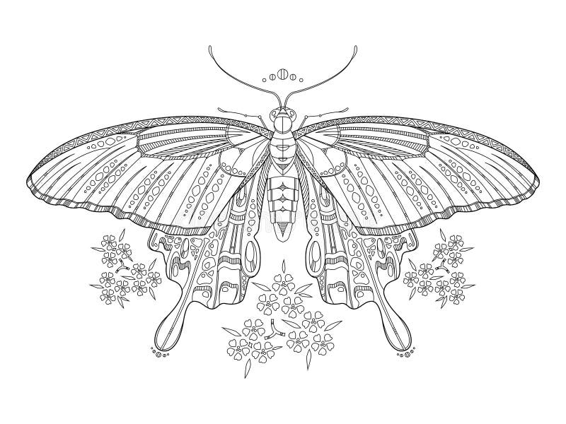 Livro para colorir da borboleta para o vetor dos adultos ilustração do vetor Livro para colorir da borboleta para o vetor dos adultos ilustração do vetor