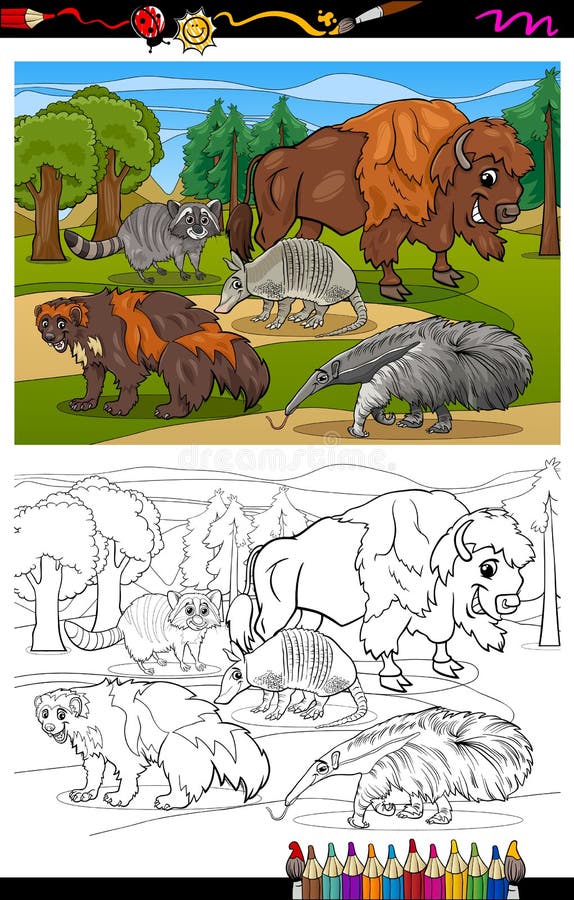 Ilustrações de animais criança macaco desenho, macaco, criança, mamífero,  gato Como mamífero png