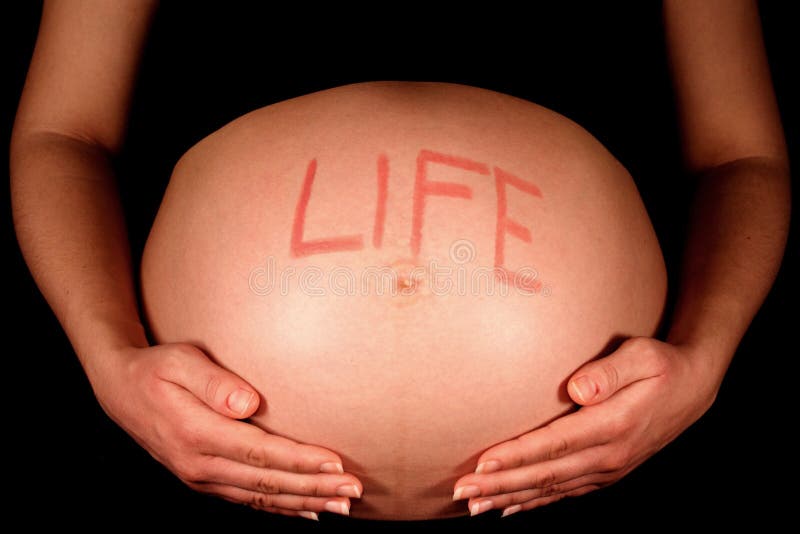 livstid royaltyfria bilder livstid royaltyfria bilder