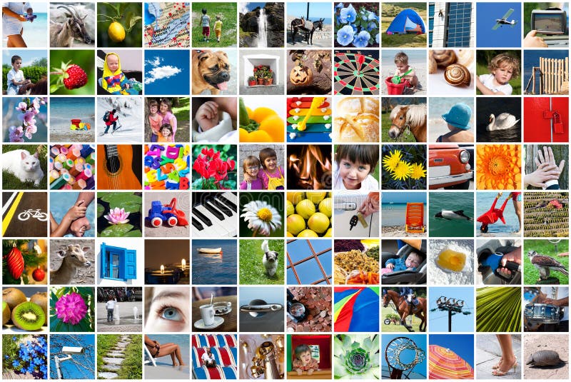 Livstidscollage royaltyfria bilder Livstidscollage royaltyfria bilder