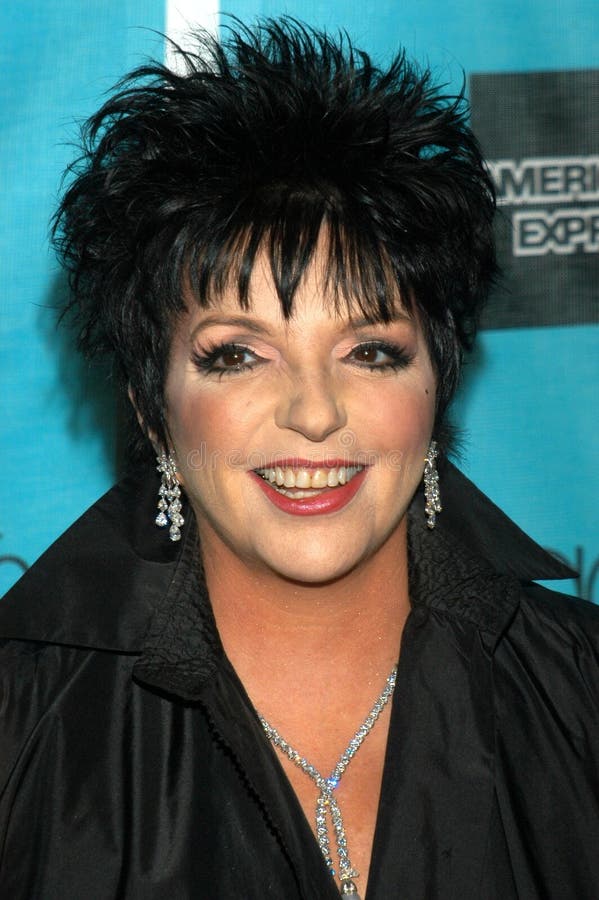 Liza Minnelli editorial stock photo. Image of gala, american - 20327403