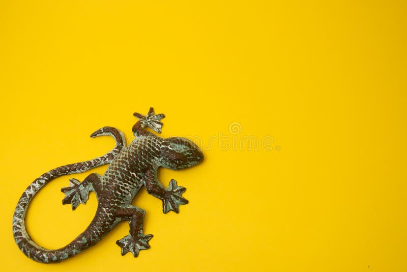 Free Stock Photo of Lizard trap  Download Free Images and Free  Illustrations