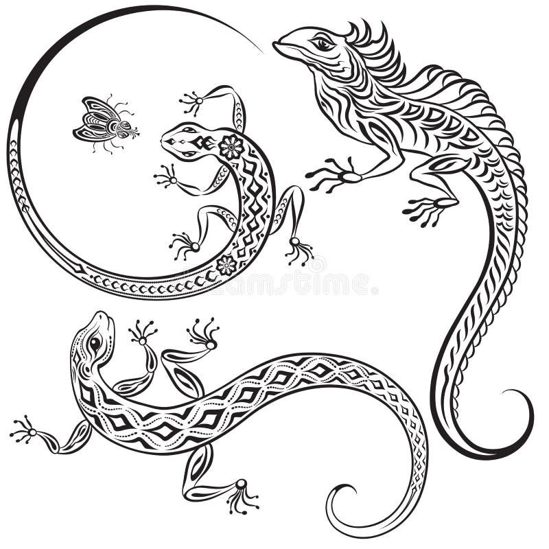 Lizard and fly stock illustration