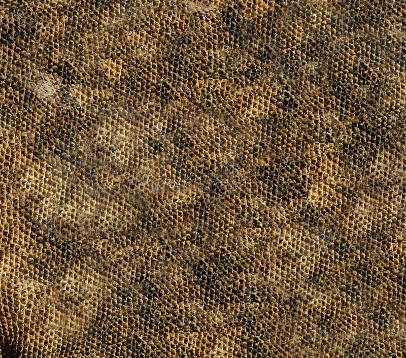 Lizard skin