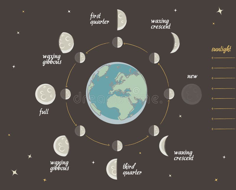 Lição da astronomia: Fases da lua ilustração do vetor Lição da astronomia: Fases da lua ilustração do vetor