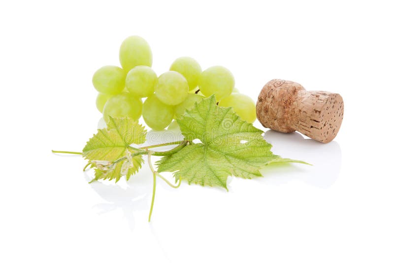 Liège et raisins de vin. photographie stock Liège et raisins de vin. photographie stock