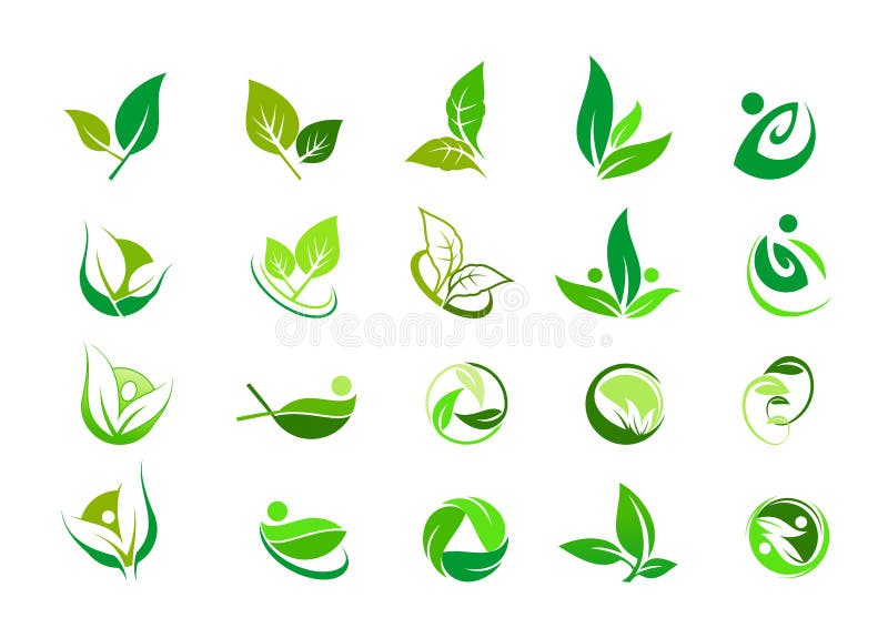 Liść, logo, organicznie, wellness, ludzie, roślina, ekologia, natura projekta ikony set