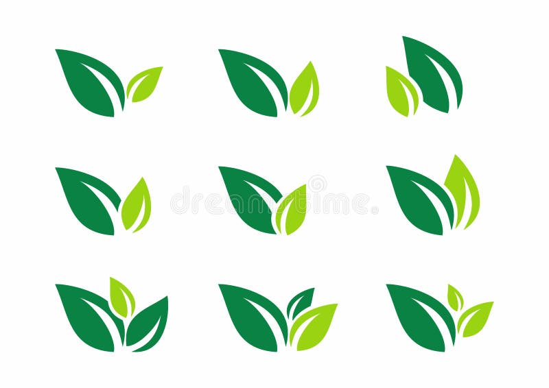 Liść, roślina, logo, ekologia, wellness, zieleń, liście, natura symbolu ikona ustawiająca wektorowi projekty