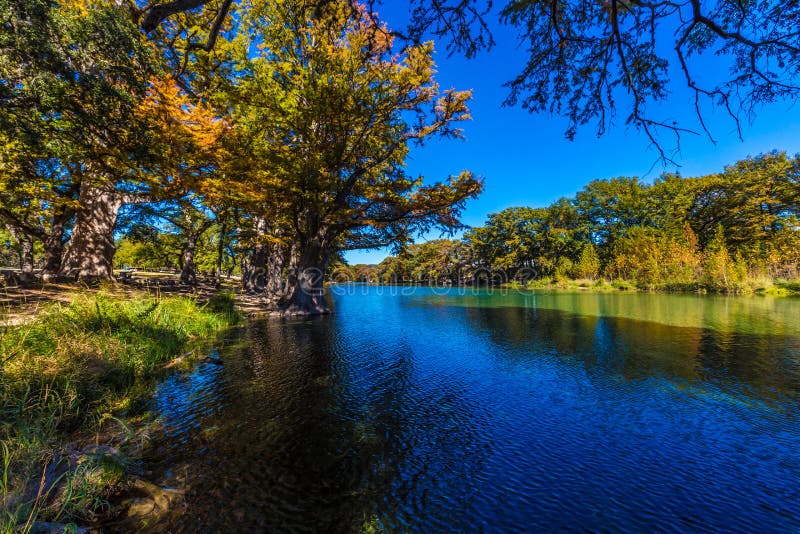 Ljus härlig nedgånglövverk på Crystal Clear Frio River royaltyfri foto