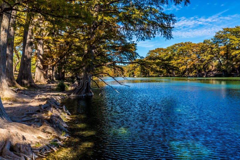 Ljus härlig nedgånglövverk på Crystal Clear Frio River royaltyfria foton