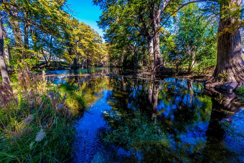 Ljus härlig nedgånglövverk på Crystal Clear Frio River arkivfoton