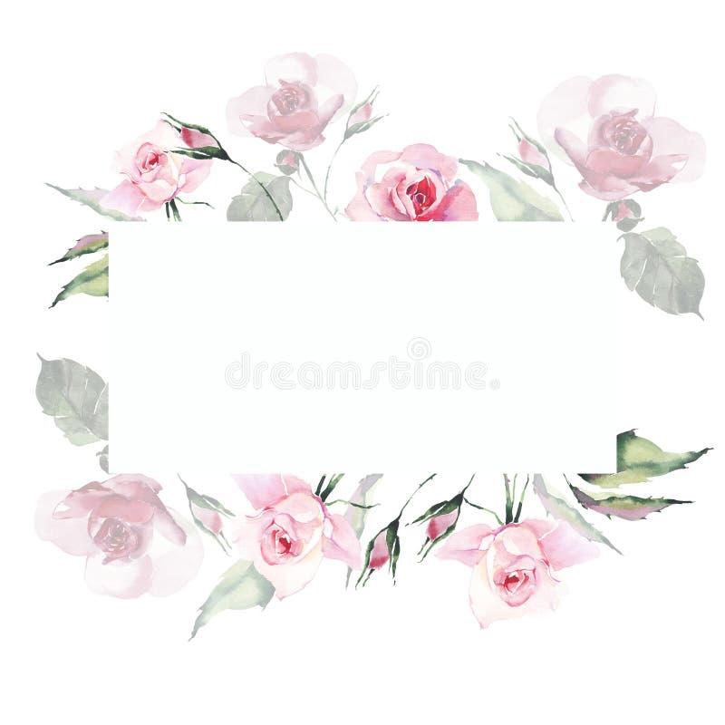Ljus i pulverform för försiktig sofistikerad underbar älskvärd gullig vår för anbud blom- växt- botaniskt - rosa rosor med gräspl royaltyfri illustrationer