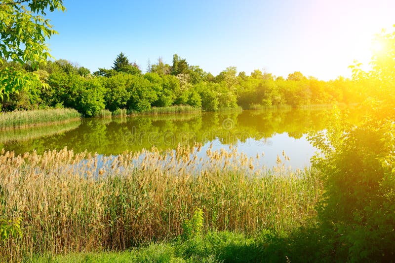 Ljus solnedgång över den pittoreska sommarsjön arkivfoto Ljus solnedgång över den pittoreska sommarsjön arkivfoto