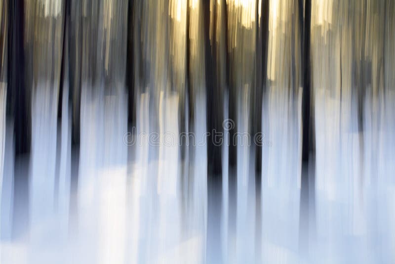 ljus vinter royaltyfria bilder ljus vinter royaltyfria bilder