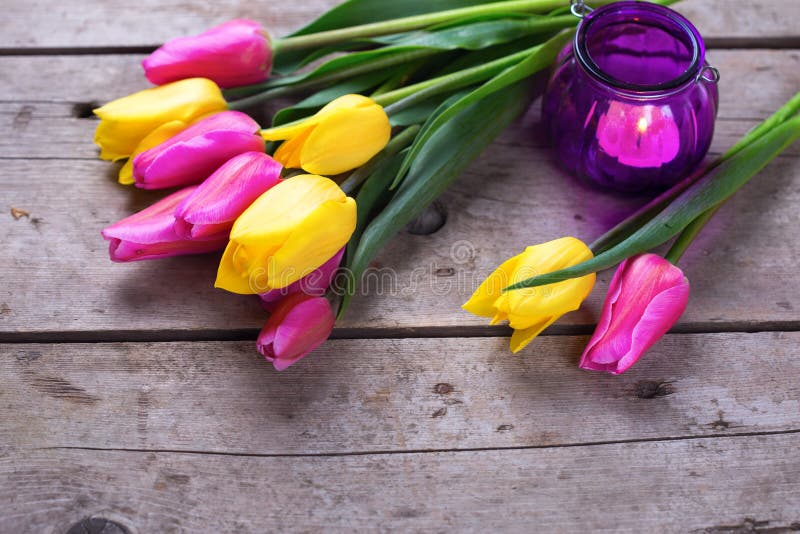 Ljus vårtulpan och violetstearinljus på tappningträbackg royaltyfri fotografi Ljus vårtulpan och violetstearinljus på tappningträbackg royaltyfri fotografi