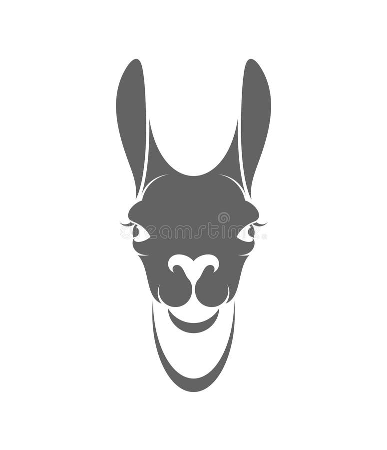 llama huvud vektor illustrationer llama huvud vektor illustrationer