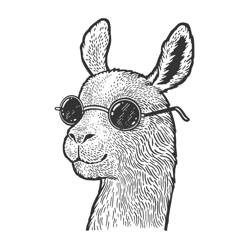 Llama Animal Sketch Engraving Vector Illustration Stock Vector - Illustration of animal, design: 150880685 Llama Animal Sketch Engraving Vector Illustration Stock Vector - Illustration of animal, design: 150880685