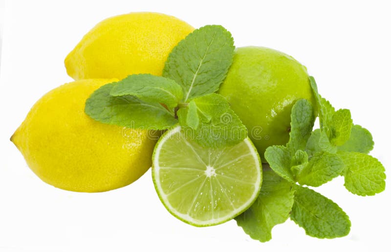 Lime with mint stock photo. Image of mint, natural, organic 15226706