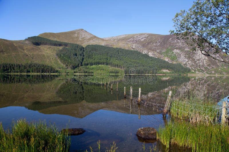 Llyn Cwellyn stock image. Image of park, snowdonia, national - 20637441