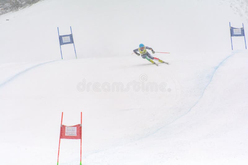 Lo sciatore dentro fa concorrenza durante l'eccellente di Audi FIS lo Ski World Cup Women alpino combinato il 28 febbraio 2016 in immagine stock Lo sciatore dentro fa concorrenza durante l'eccellente di Audi FIS lo Ski World Cup Women alpino combinato il 28 febbraio 2016 in immagine stock