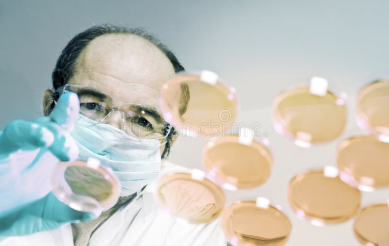 Lo scienziato lancia i piatti della coltura cellulare
