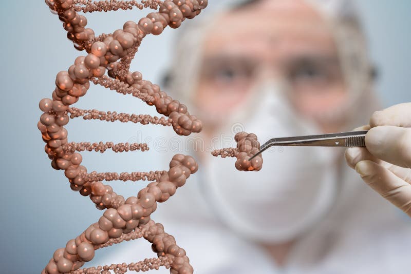 Lo scienziato sta sostituendo la parte di una molecola del DNA Concetto genetico di manipolazione del gene e di ingegneria fotografie stock Lo scienziato sta sostituendo la parte di una molecola del DNA Concetto genetico di manipolazione del gene e di ingegneria fotografie stock
