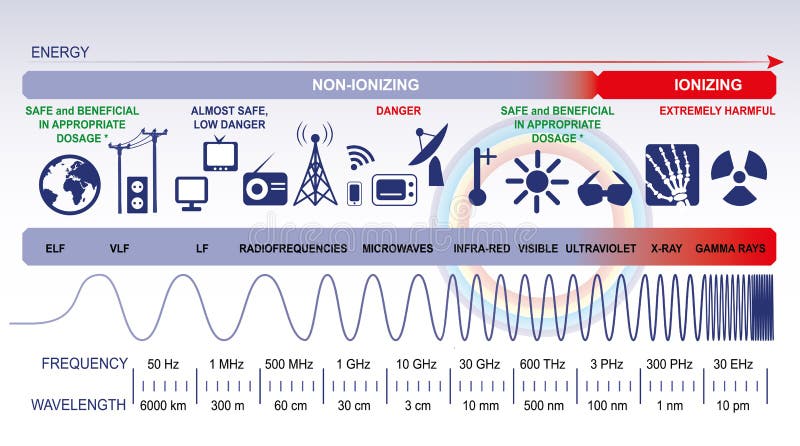The electromagnetic spectrum. Infographic diagram. The electromagnetic spectrum. Infographic diagram.