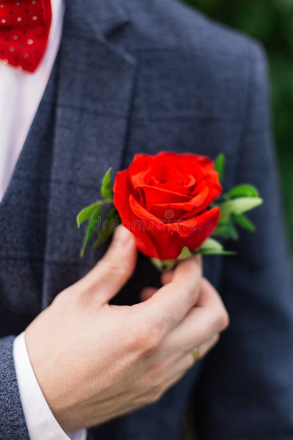 Lo sposo raddrizza il boutonniere dei fiori sul suo rivestimento immagine stock libera da diritti Lo sposo raddrizza il boutonniere dei fiori sul suo rivestimento immagine stock libera da diritti