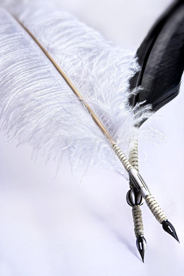 White ostrich feather and black raven feather, as writing quills. White ostrich feather and black raven feather, as writing quills