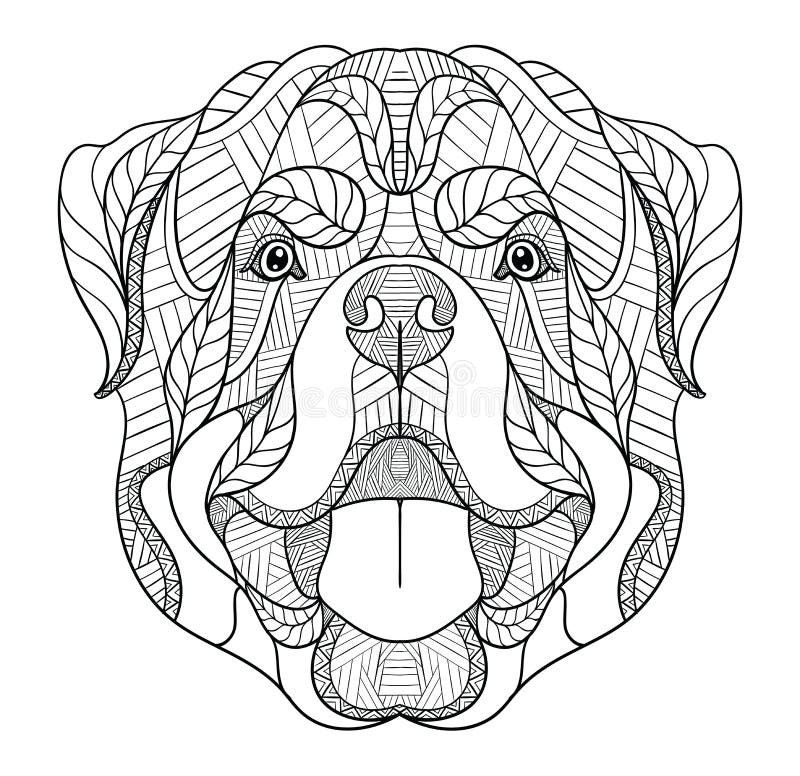 Lo zentangle del cane di Rottweiler, scarabocchio ha stilizzato la testa, disegnata a mano, modello Arte di zen Vettore decorato illustrazione vettoriale Lo zentangle del cane di Rottweiler, scarabocchio ha stilizzato la testa, disegnata a mano, modello Arte di zen Vettore decorato illustrazione vettoriale
