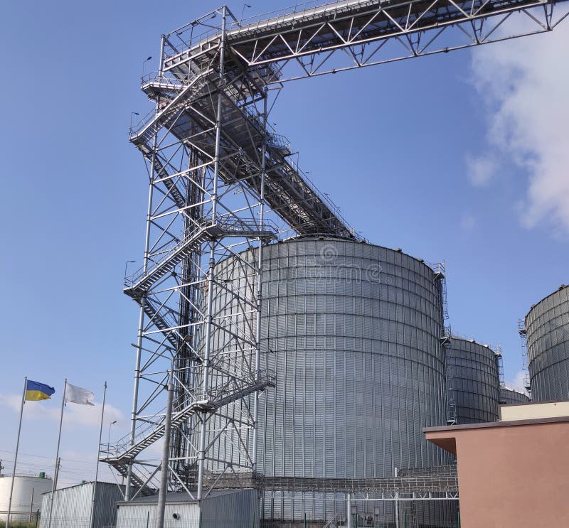 Loading Corn for Storage at a Grain Elevator Stock Photo Image of auger, landscape 227710498