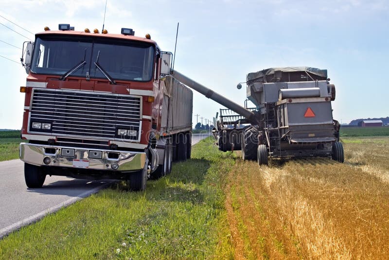 Loading Grain for Transport Stock Photo Image of blue, haul 967372
