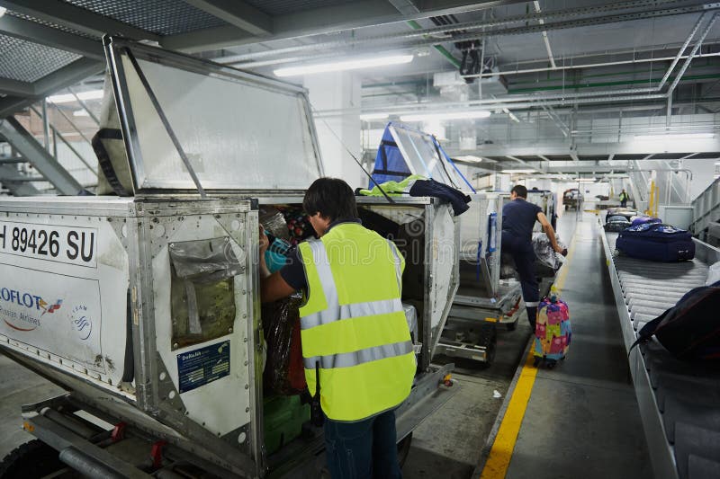 Loading and unloading operations and baggage control at the airport. Service for the transportation of belongings of aircraft royalty free stock photo