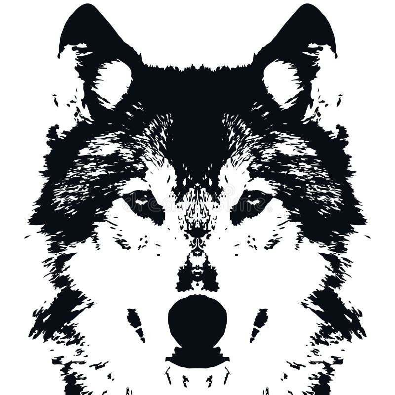 Lobo do preto do vetor da ilustração ilustração stock Lobo do preto do vetor da ilustração ilustração stock