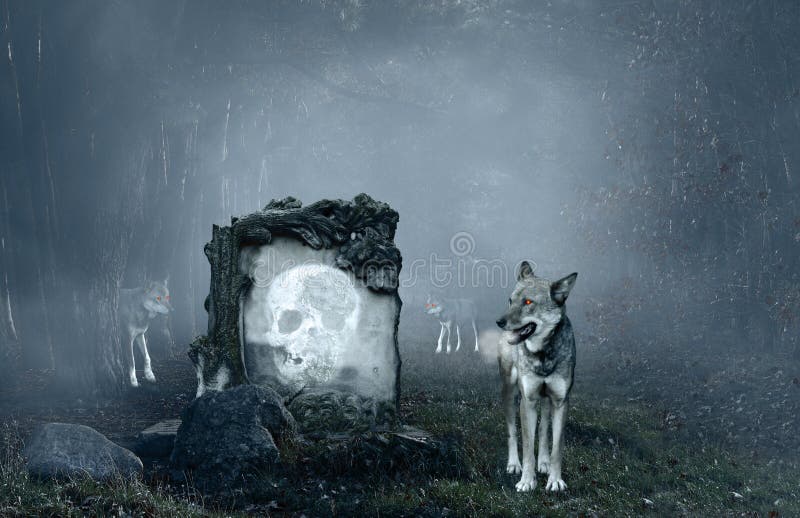 Wolves guarding an old grave in a dark forest. Wolves guarding an old grave in a dark forest