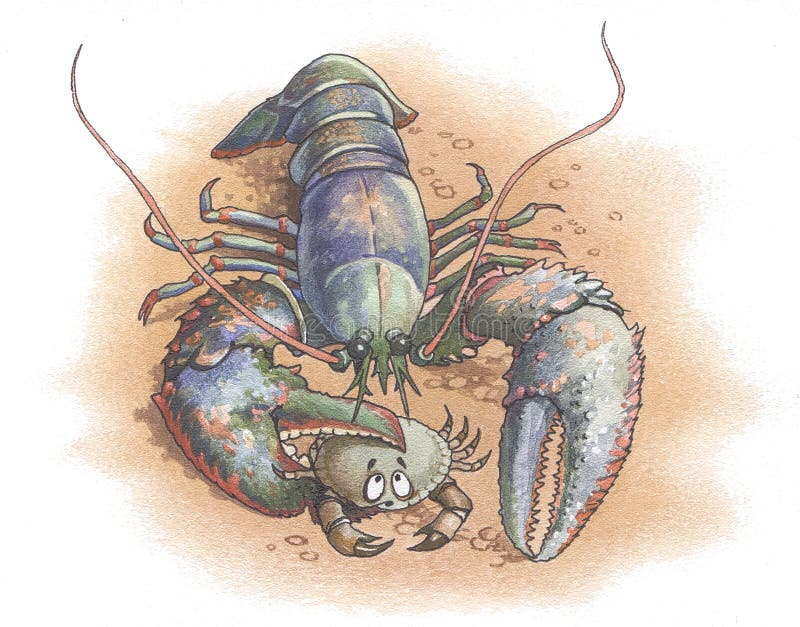 Lobster Claw Stock Illustrations 8,060 Lobster Claw Stock