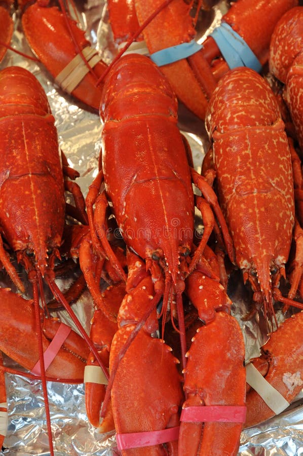 Crabs And Lobsters At The Market Stock Image Image of crabs, meal 8686943