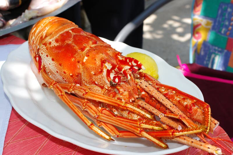 Lobster stock photo. Image of luxury, lobster, meal, crustacean 27580412