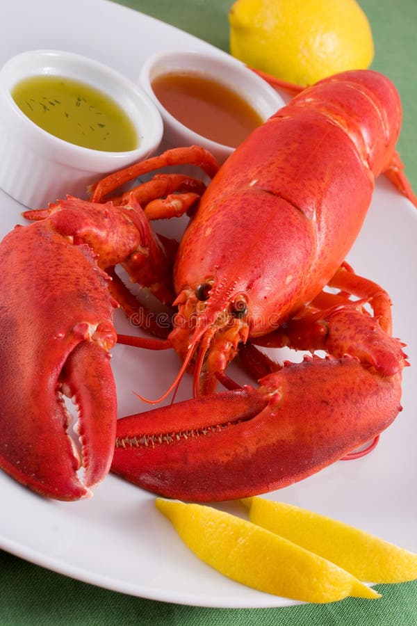 Two lobsters stock image. Image of lobster, crustacean 8879707