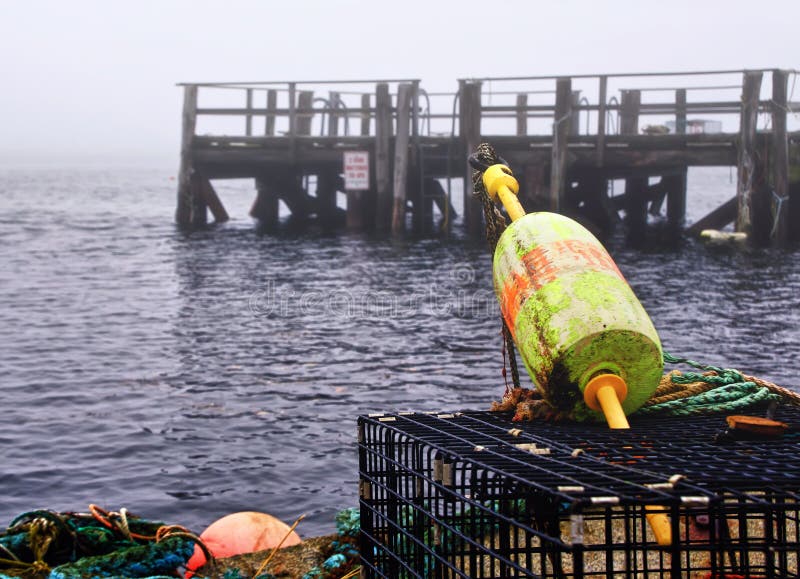 Lobster buoys and traps at a dock