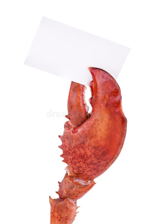 Lobster claw