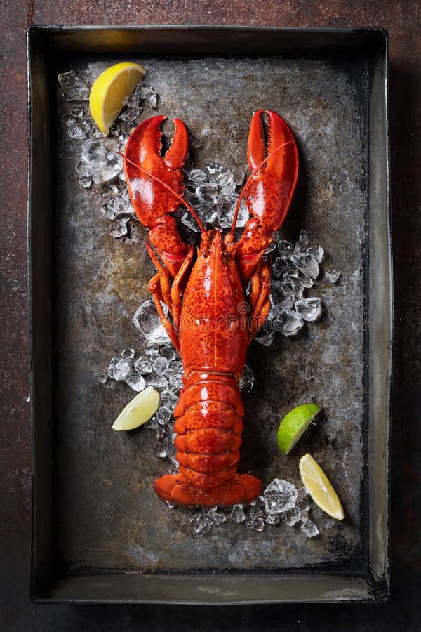 Lobster, dark grey rusty tray served on ice with lemon and live, top view, vintage style