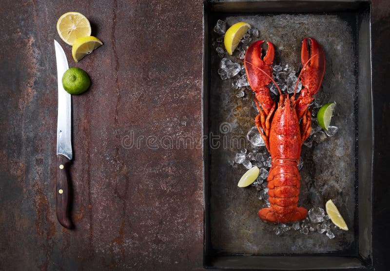 Lobster, dark grey rusty tray served on ice with lemon and live, top view, vintage style