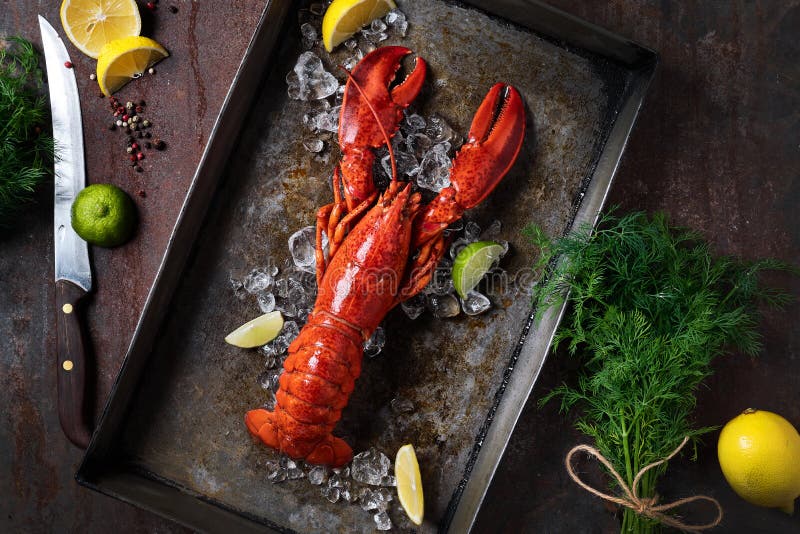 Lobster, dark grey rusty tray served on ice with lemon and live, top view, vintage style