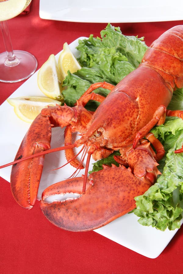 A lobster dinner with wine at a restaurant