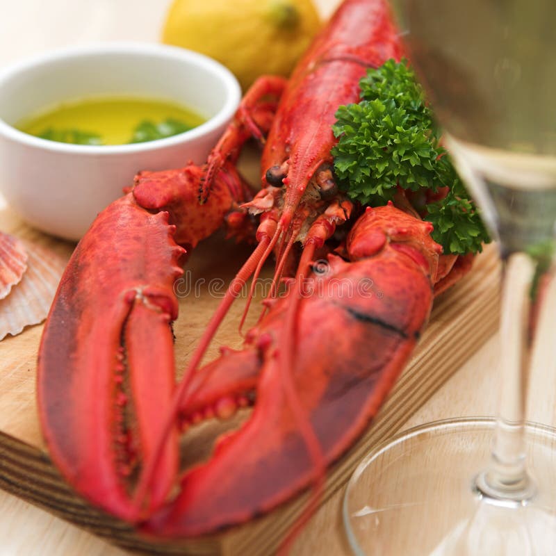 Lobster dinner with wine