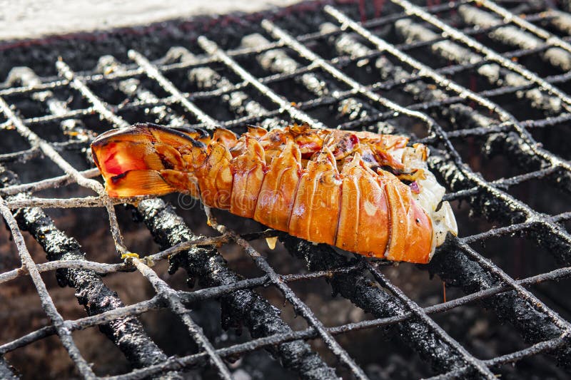 Lobster frigjord på ett grill på varmkolvar nära varandra Giant grillad hummerkock på kolspisar på thailändsk gatumat royaltyfri bild Lobster frigjord på ett grill på varmkolvar nära varandra Giant grillad hummerkock på kolspisar på thailändsk gatumat royaltyfri bild