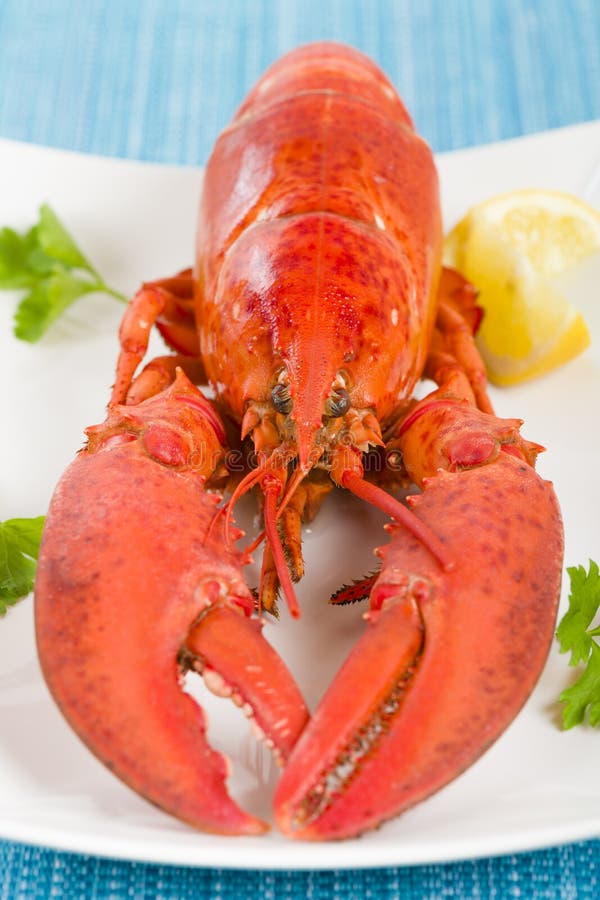 Lobster with Lemon Wedges. royalty free stock photography