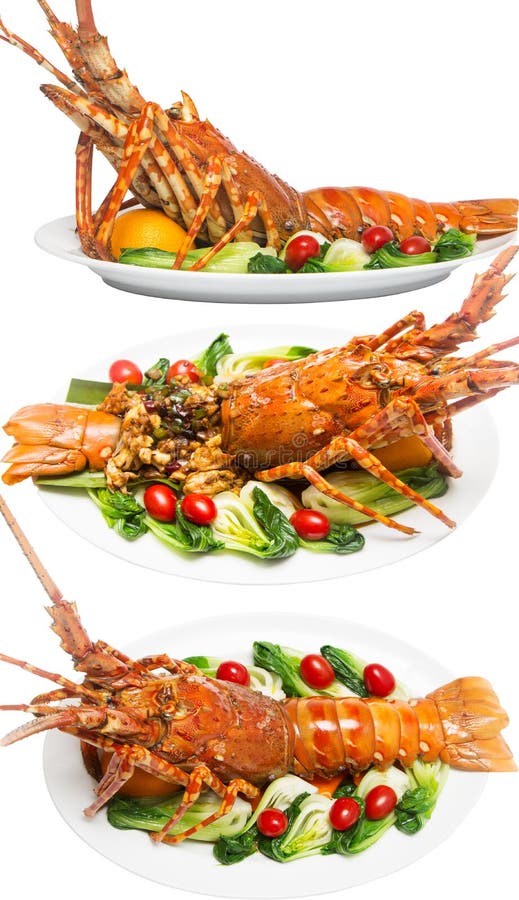 Man Looks For Shellfish On Rocks In Stormy Sea Stock Image - Image of